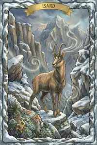 Postal de l'isard